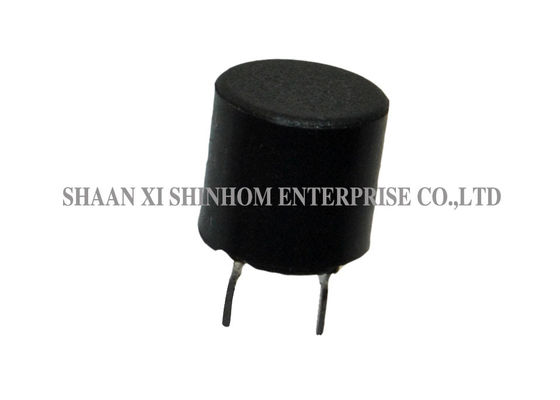 Choke Through Hole Unshielded Inductor โครงสร้างตัวเรือนพลาสติกกันน้ำ